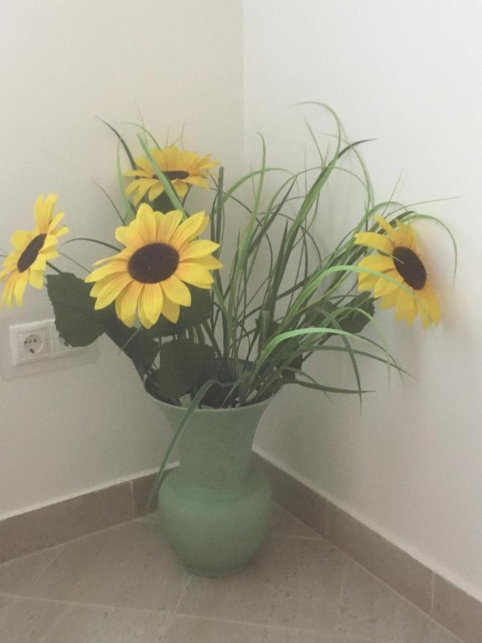 Vito Apartman Eger Bagian luar foto